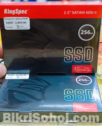 KingSpec 256GB SSD